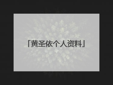 黄圣依个人资料