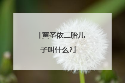 黄圣依二胎儿子叫什么?