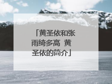 黄圣依和张雨绮多高 黄圣依的简介