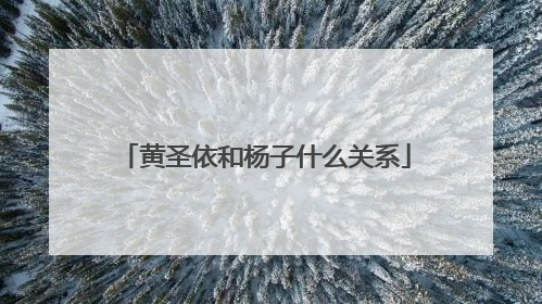 黄圣依和杨子什么关系