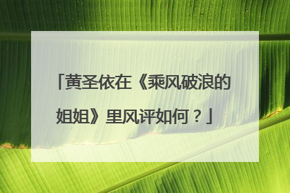 黄圣依在《乘风破浪的姐姐》里风评如何?
