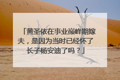 黄圣依在事业巅峰期嫁夫,是因为当时已经怀了长子杨安迪了吗?