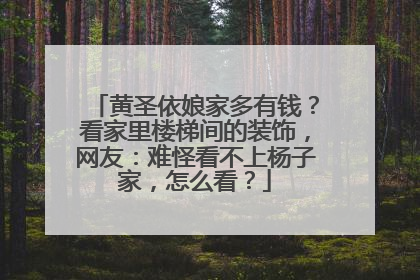 黄圣依娘家多有钱？看家里楼梯间的装饰，网友：难怪看不上杨子家，怎么看？