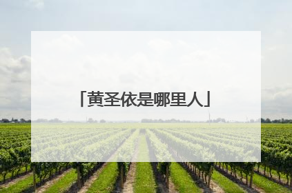 黄圣依是哪里人