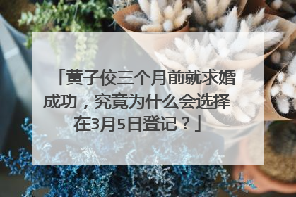 黄子佼三个月前就求婚成功,究竟为什么会选择在3月5日登记?