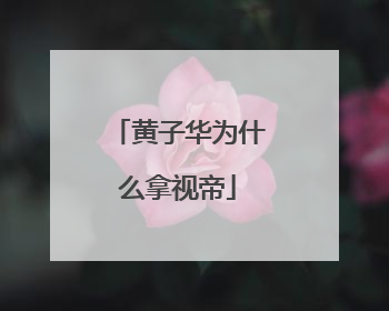 黄子华为什么拿视帝