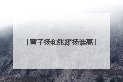 黄子扬和张耀扬谁高