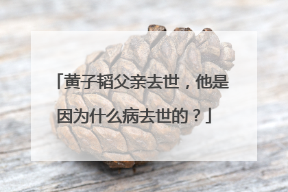 黄子韬父亲去世，他是因为什么病去世的？
