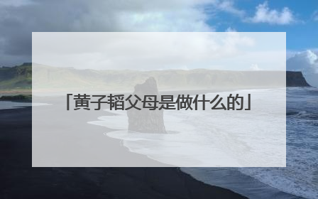 黄子韬父母是做什么的