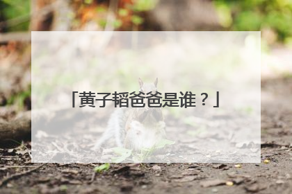 黄子韬爸爸是谁?