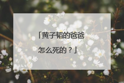 黄子韬的爸爸怎么死的？