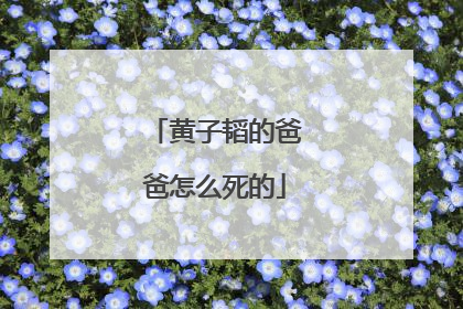 黄子韬的爸爸怎么死的