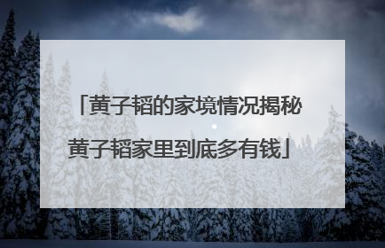 黄子韬的家境情况揭秘黄子韬家里到底多有钱