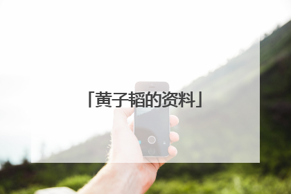 黄子韬的资料