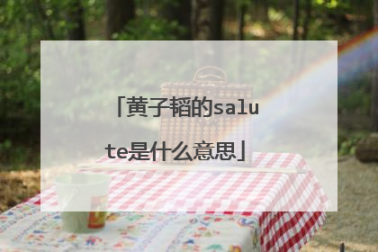 黄子韬的salute是什么意思