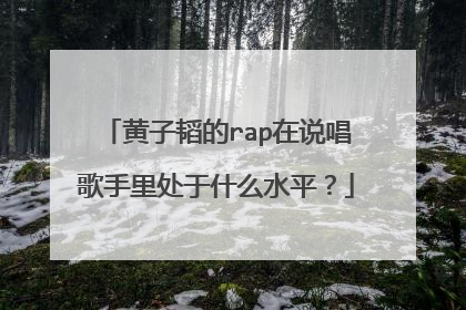 黄子韬的rap在说唱歌手里处于什么水平？