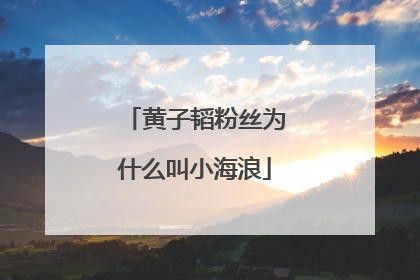 黄子韬粉丝为什么叫小海浪