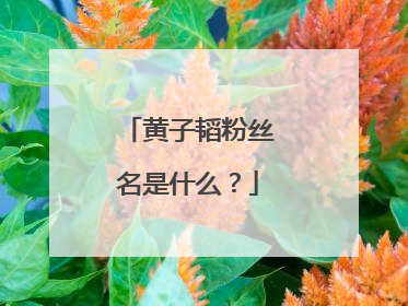 黄子韬粉丝名是什么?
