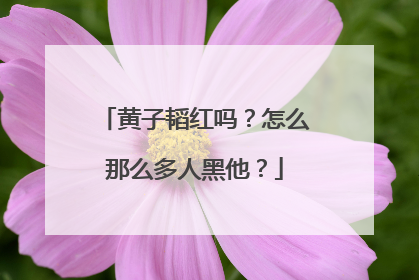 黄子韬红吗？怎么那么多人黑他？