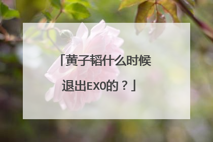 黄子韬什么时候退出EXO的?