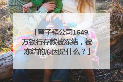 黄子韬公司1649万银行存款被冻结，被冻结的原因是什么？