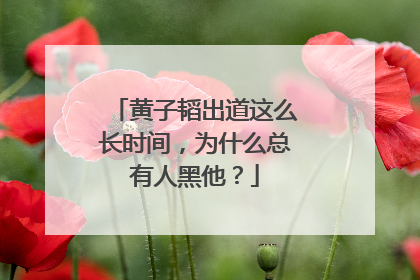 黄子韬出道这么长时间，为什么总有人黑他？