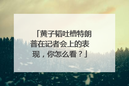 黄子韬吐槽特朗普在记者会上的表现,你怎么看?