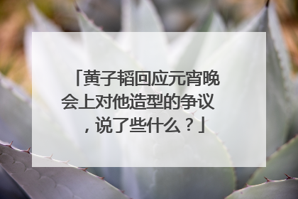 黄子韬回应元宵晚会上对他造型的争议，说了些什么？