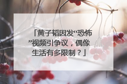 黄子韬因发“恐怖”视频引争议，偶像生活有多限制？