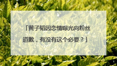 黄子韬因恋情曝光向粉丝道歉,有没有这个必要?