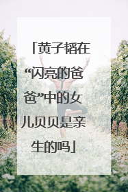 黄子韬在“闪亮的爸爸”中的女儿贝贝是亲生的吗