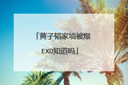 黄子韬家境被爆EXO知道吗