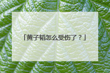 黄子韬怎么受伤了?