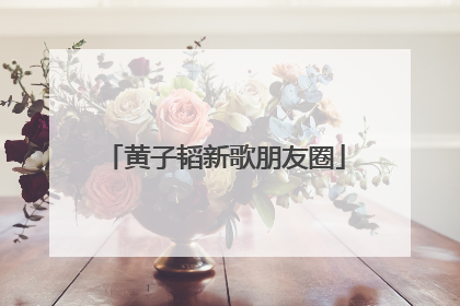 黄子韬新歌朋友圈