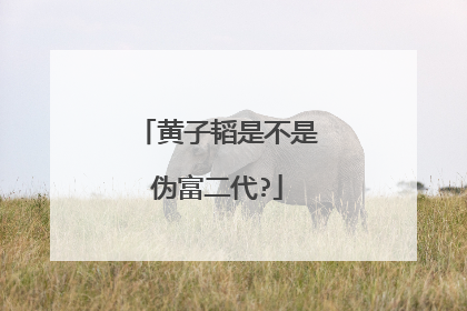 黄子韬是不是伪富二代?