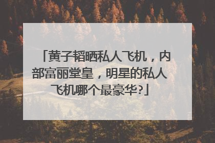 黄子韬晒私人飞机，内部富丽堂皇，明星的私人飞机哪个最豪华?