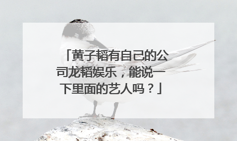 黄子韬有自己的公司龙韬娱乐，能说一下里面的艺人吗？