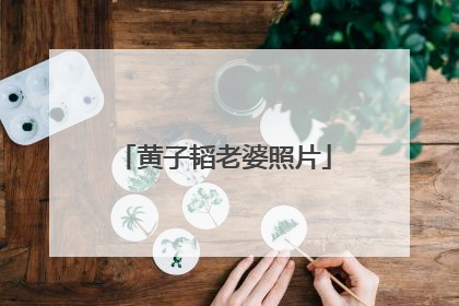 黄子韬老婆照片