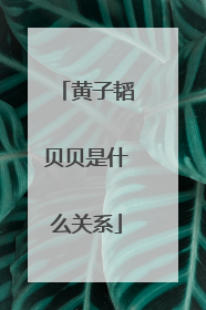 黄子韬贝贝是什么关系