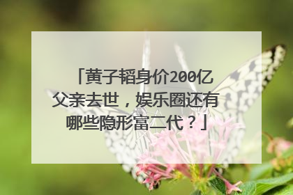黄子韬身价200亿父亲去世,娱乐圈还有哪些隐形富二代?