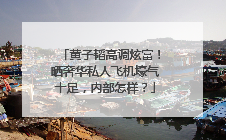 黄子韬高调炫富！晒奢华私人飞机壕气十足，内部怎样？