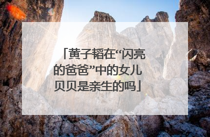 黄子韬在“闪亮的爸爸”中的女儿贝贝是亲生的吗