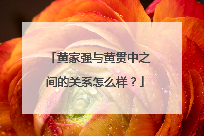 黄家强与黄贯中之间的关系怎么样?