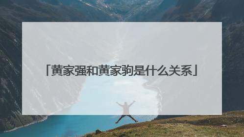 黄家强和黄家驹是什么关系