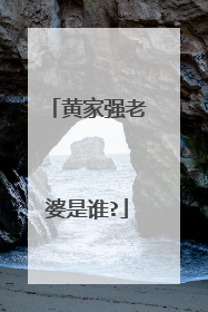 黄家强老婆是谁?