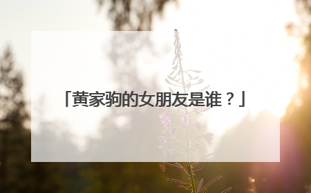 黄家驹的女朋友是谁？