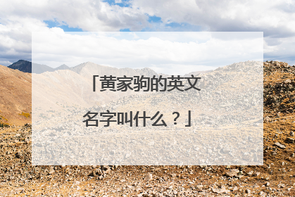 黄家驹的英文名字叫什么?