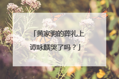 黄家驹的葬礼上谭咏麟哭了吗?