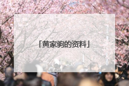 黄家驹的资料