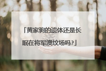 黄家驹的遗体还是长眠在将军澳坟场吗?